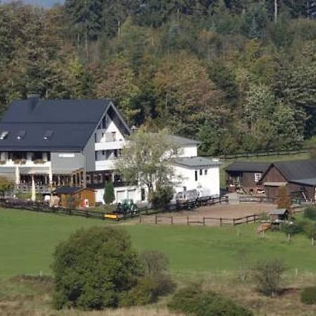 Ginsberger Heide Hotel Hilchenbach Стая снимка