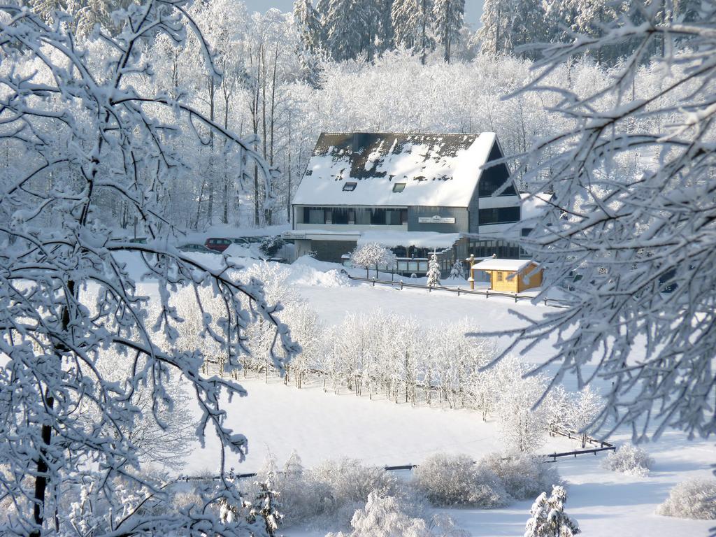 Ginsberger Heide Hotel Hilchenbach Екстериор снимка