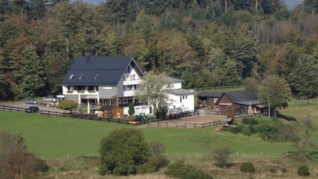 Ginsberger Heide Hotel Hilchenbach Стая снимка